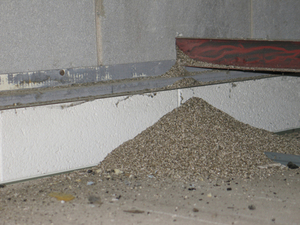 This is a picture of vermiculite insulation seeping out of a wall.